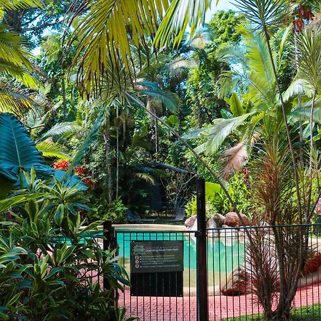 Safari Lodge Cape Tribulation Buitenkant foto