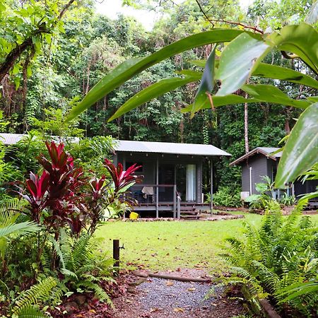 Safari Lodge Cape Tribulation Buitenkant foto