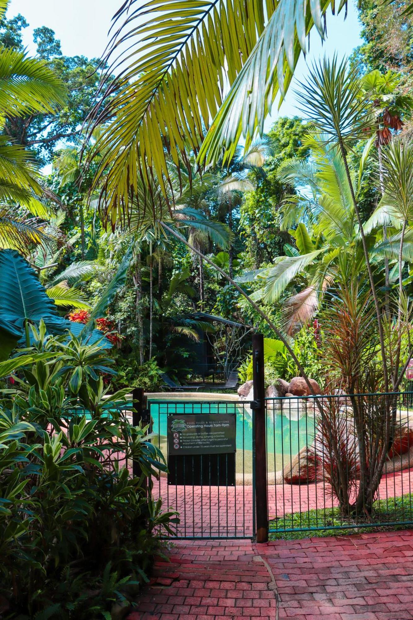 Safari Lodge Cape Tribulation Buitenkant foto