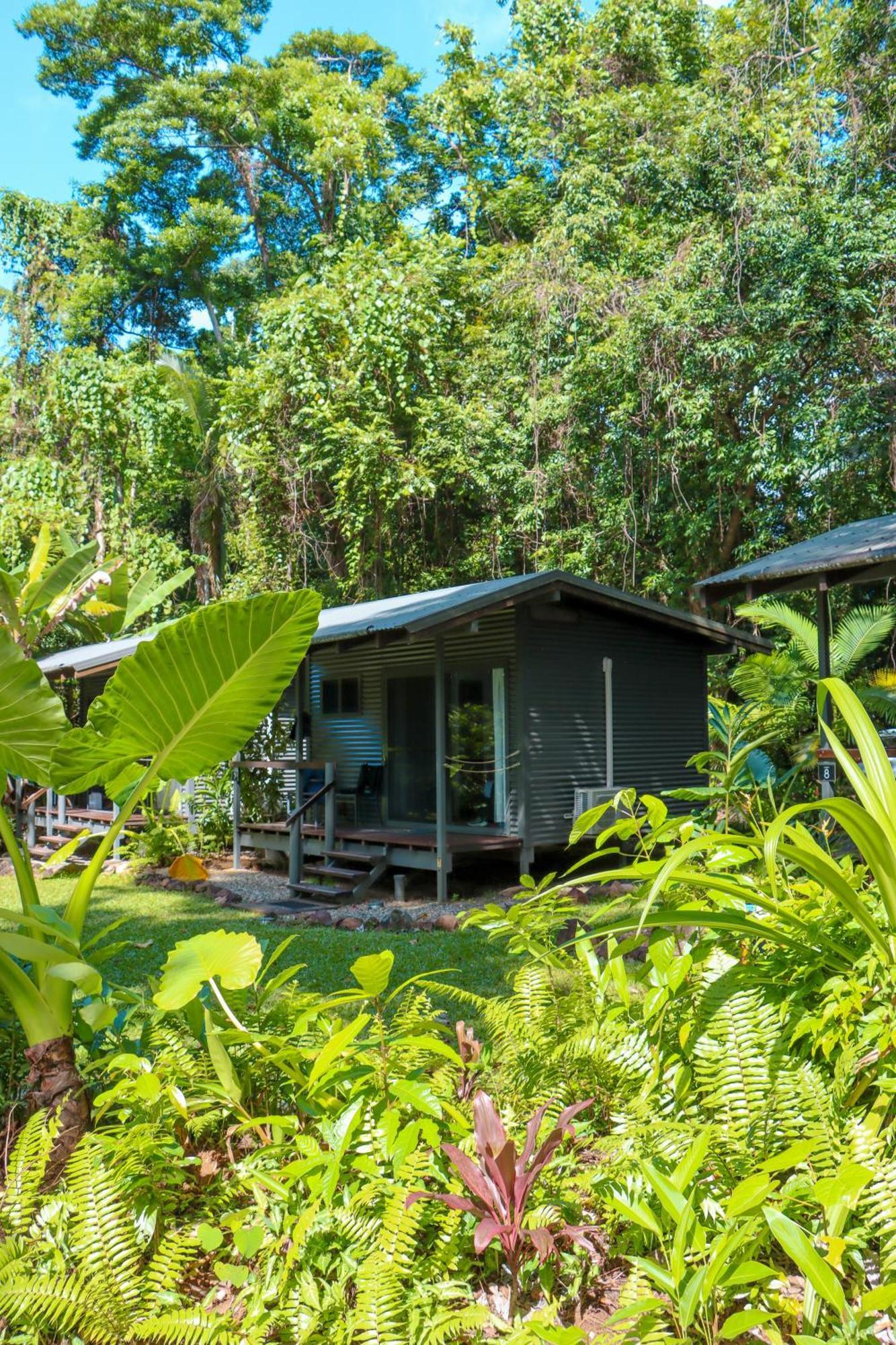Safari Lodge Cape Tribulation Buitenkant foto