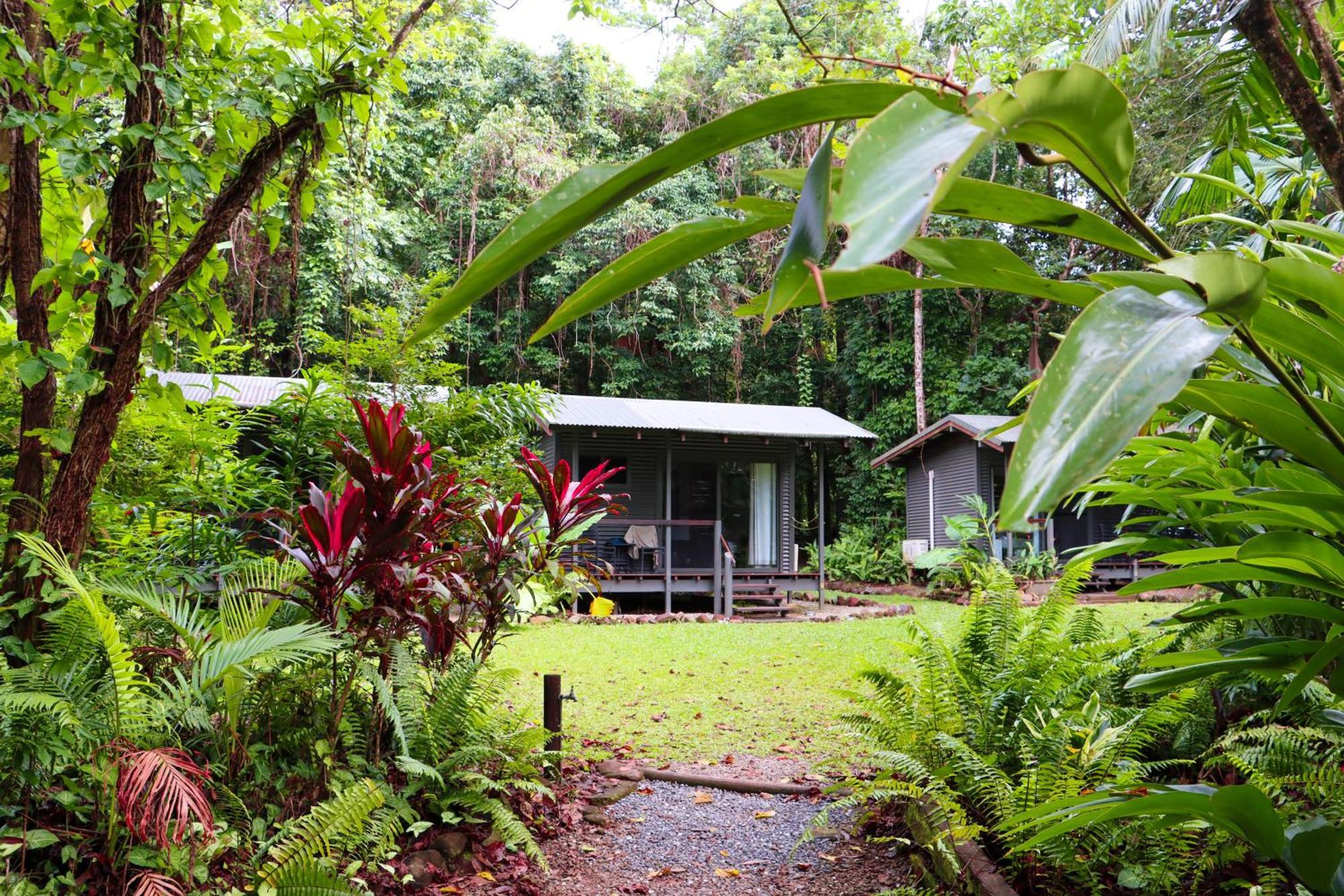 Safari Lodge Cape Tribulation Buitenkant foto